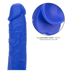 Admiral Gode vibrant Admiral 14 x 3.7 cm Bleu